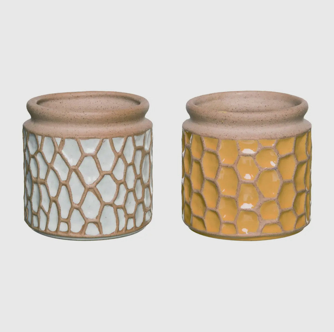 Organic Pattern Planter