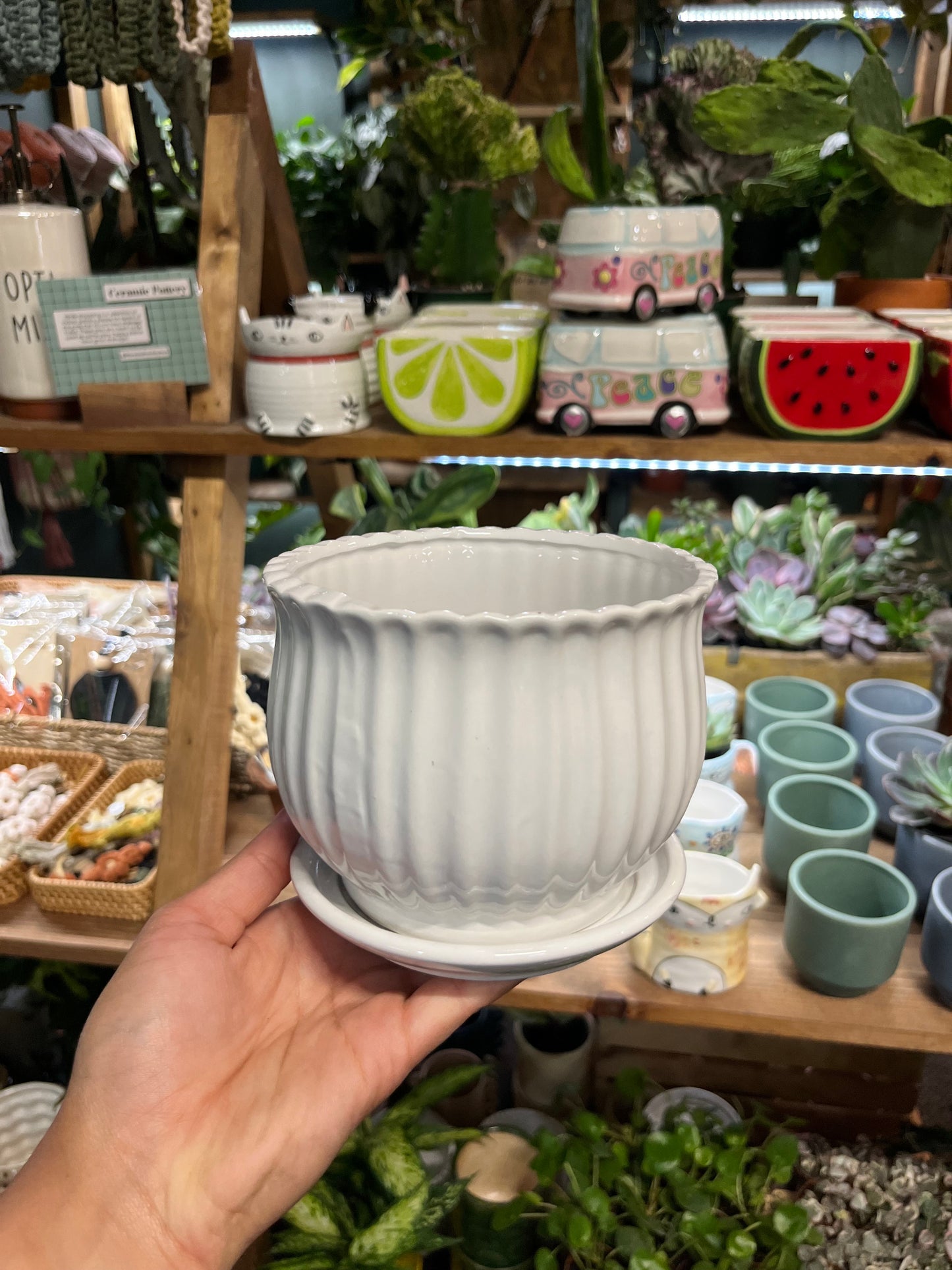 White Tulip Pot w/ Unattached Saucer