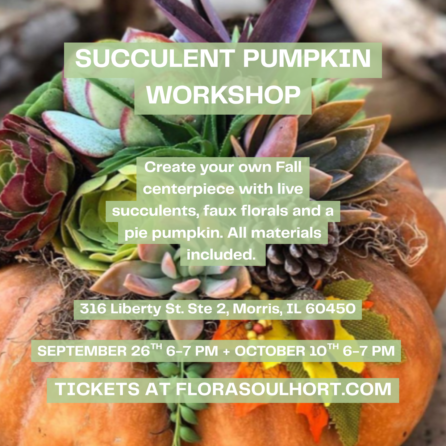 SUCCULENT PUMPKIN WORKSHOP