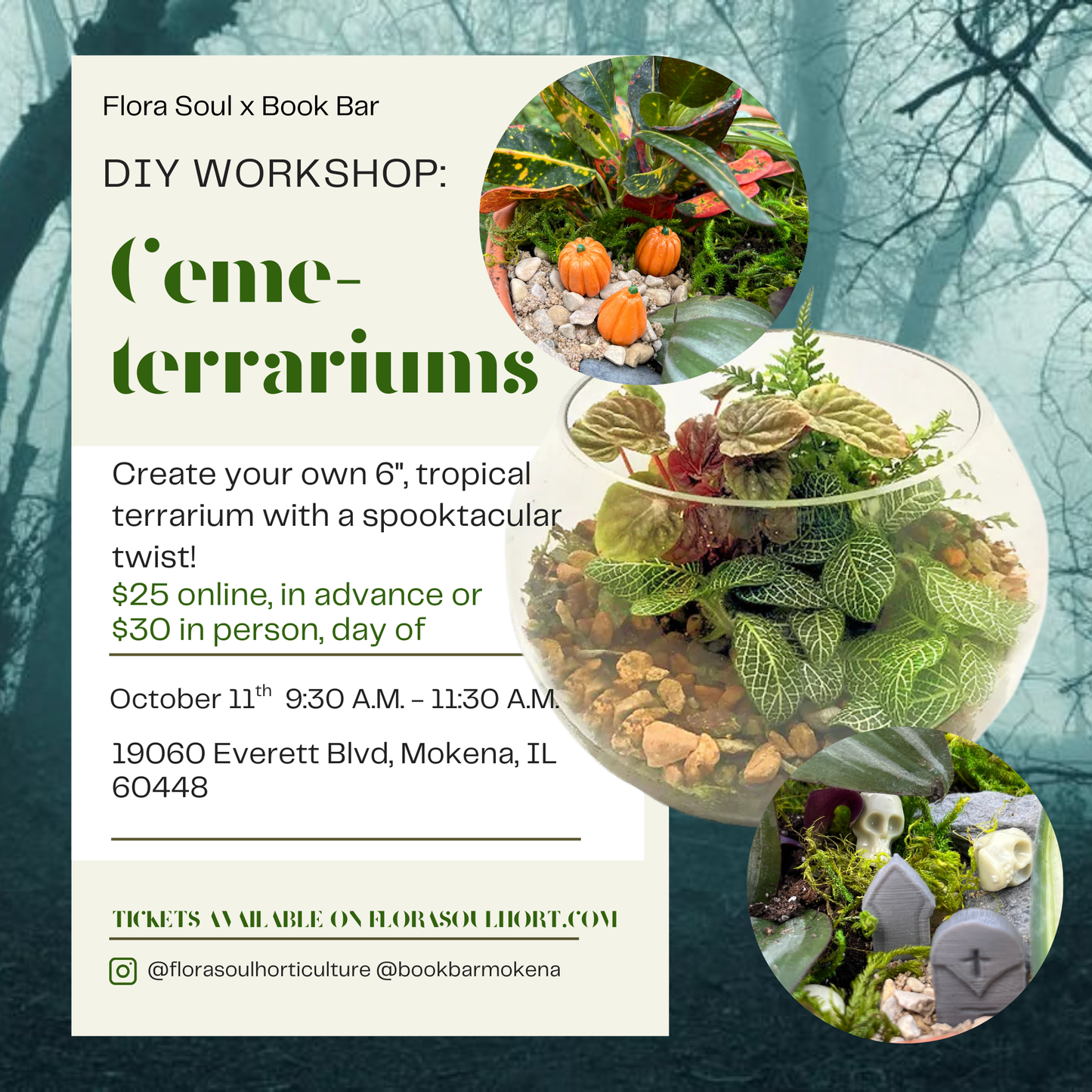 Ceme-terrariums at Book Bar