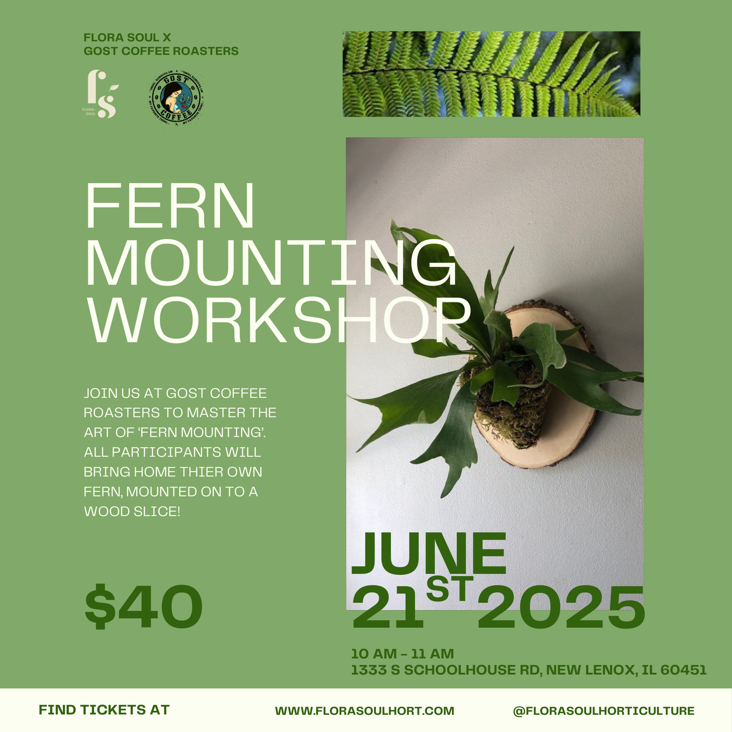 FERN MOUNTING AT GOST COFFEE