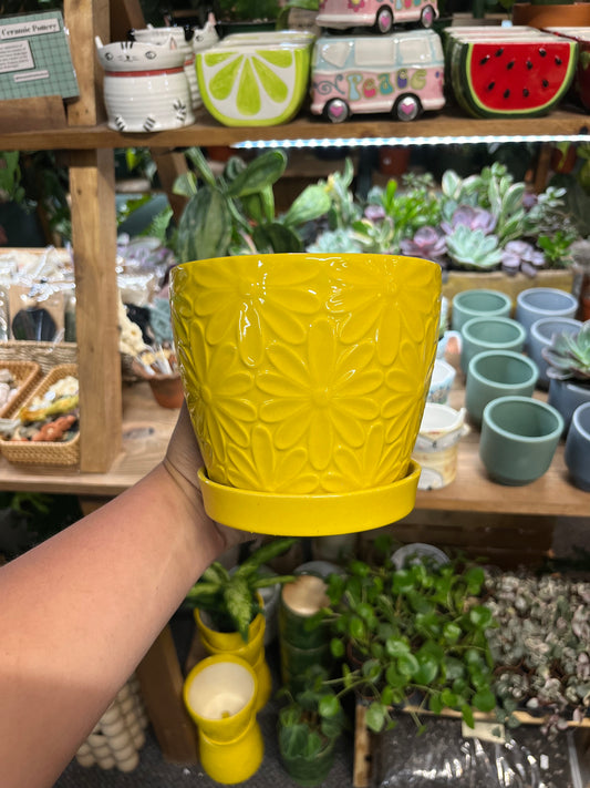 Yellow Daisy Pot w/ Attached Saucer