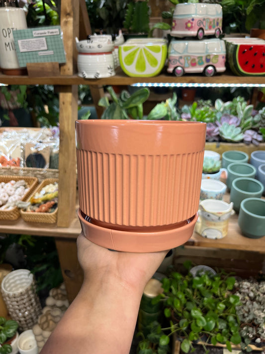 Peach Pot w/ Ribbed Texture and Attached Saucer