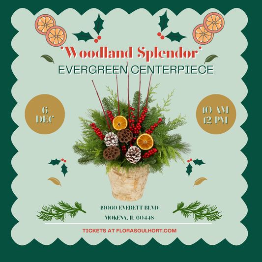 'Woodland Splendor' Fresh Cut Evergreen Centerpiece
