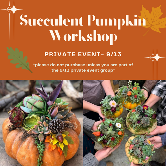 Succulent Pumpkin Workshop- Private Event 9/13