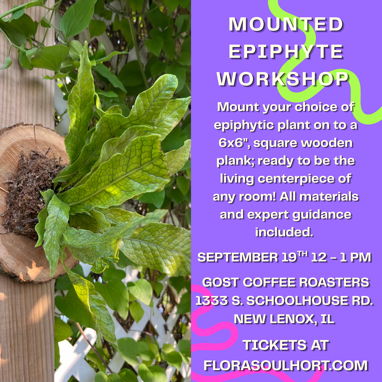 MOUNTED EPIPHYTE WORKSHOP